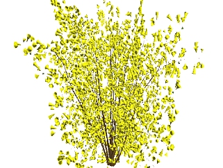 水榆花楸灌木丛sketchup模型，常绿灌木skp文件下载