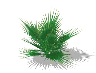 棕榈灌木球草图大师模型下载，灌木地被sketchup模型下载