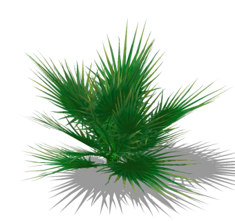 棕榈灌木球草图大师模型下载，灌木地被sketchup模型下载