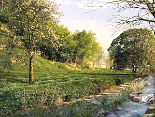 乡间郊野绿道景观概念设计方案