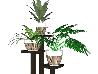 耐阴植物组合盆栽植物su模型，现代花艺草图大师模型下载