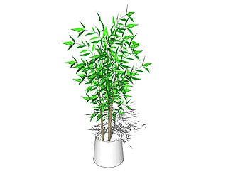 <em>竹子盆栽</em>sketchup模型，手绘绿植草图大师模型下载