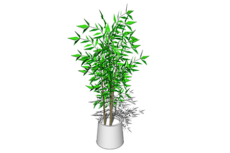竹子盆栽sketchup模型，手绘绿植草图大师模型下载