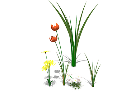 虞美人现代植物su模型，绿植花草图大师模型下载