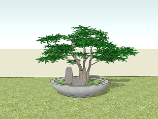 中式松树盆栽免费su模型，松树盆栽草图大师模型下载
