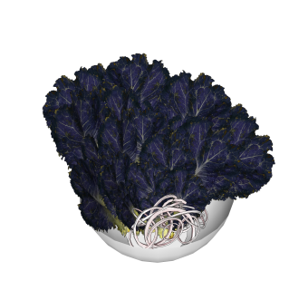 现代蔬菜紫菜草图大师模型，蔬菜食品sketchup模型下载