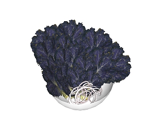 现代蔬菜紫菜草图大师模型，蔬菜食品sketchup模型下载