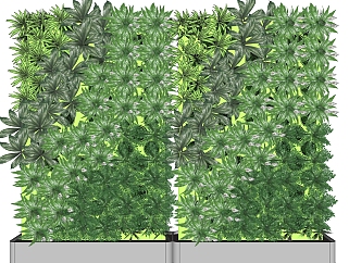 蜘蛛抱<em>蛋</em>植物墙sketchup模型，室内植物墙skp文件下载