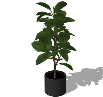精品盆栽植物sketchup模型集下载