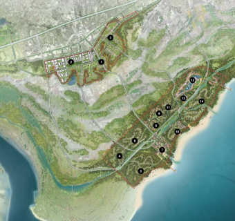东郊椰林乡村规划设计方案