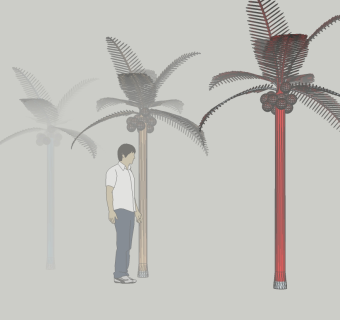 现代椰子树免费su模型下载、椰子树草图大师模型下载