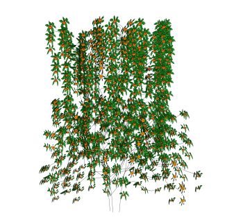 凌霄花藤sketchup文件，园艺藤蔓草图大师模型下载