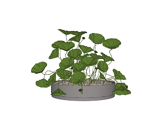 <em>荷花</em>植物盆栽草图大师模型，植物盆栽sketchup模型下载