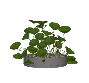 荷花植物盆栽草图大师模型，植物盆栽sketchup模型下载