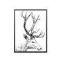 手绘羚羊写意黑白装饰画，简约北欧客厅沙发背景墙装饰画 (1).jpg