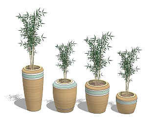 现代竹子盆栽草图大师模型，盆栽sketchup模型