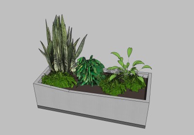 虎皮兰植物盆栽草图大师模型，盆栽sketchup模型