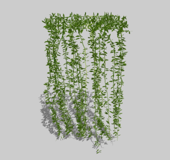 迎春花植物藤蔓草图大师模型，植物sketchup模型