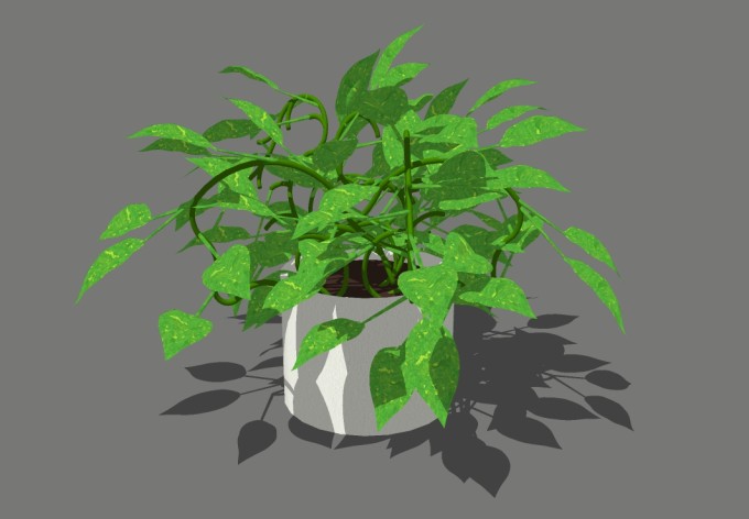 绿萝植物盆栽草图大师模型，盆栽绿萝sketchup模型