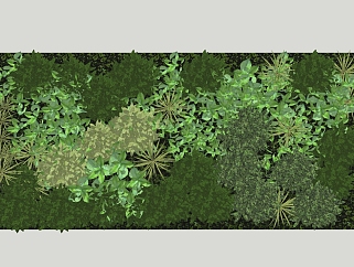 现代绿植<em>背景</em>墙草图大师模型，植物sketchup模型