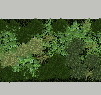 现代绿植背景墙草图大师模型，植物sketchup模型