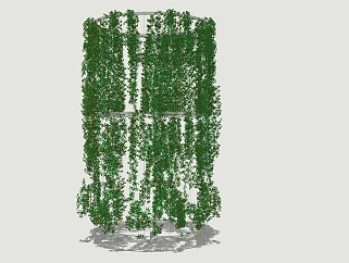 现代植物<em>藤蔓</em>草图大师模型，绿植sketchup模型