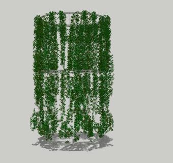 现代植物藤蔓草图大师模型，绿植sketchup模型