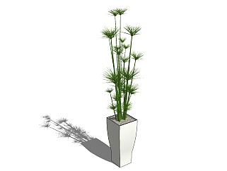 现代<em>植物盆栽</em>草图大师模型，多裂棕竹sketchup模型