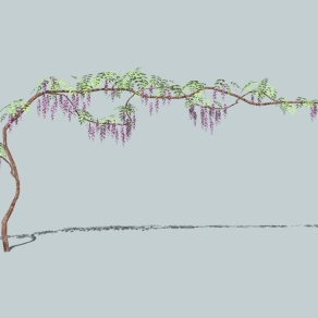 现代葡萄藤草图大师模型，葡萄藤sketchup模型