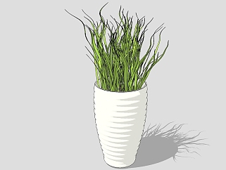 现代植物<em>盆栽</em>草图大师模型，岩石草sketchup模型