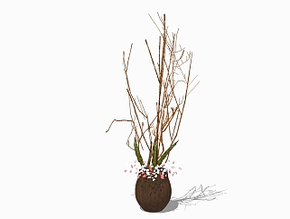 现代干支植物<em>盆栽</em>草图大师模型，干支sketchup模型