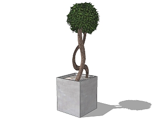 现代<em>植物盆栽</em>草图大师模型，小叶黄杨球sketchup模型