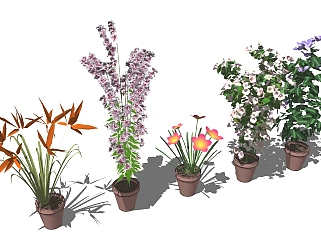 现代植物盆栽草图大师模型，盆栽sketchup模型