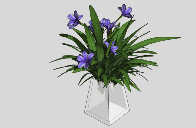现代植物盆栽草图大师模型，紫花地丁sketchup模型