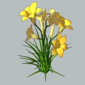 现代植物花草图大师模型，黄婵sketchup模型