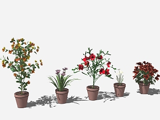 现代<em>植物</em>盆栽<em>组合</em>草图大师模型，<em>植物</em>盆栽sketchup模型
