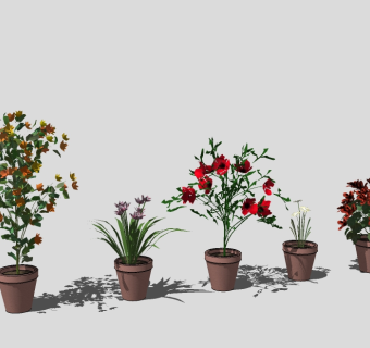 现代植物盆栽组合草图大师模型，植物盆栽sketchup模型