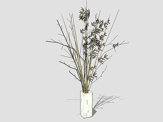 现代干支植物盆栽草图大师模型，观赏竹sketchup模型