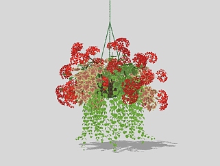 现代植物<em>盆栽</em>草图大师模型，长寿花sketchup模型