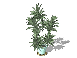 现代植物<em>盆栽</em>草图大师模型，菜豆树sketchup模型
