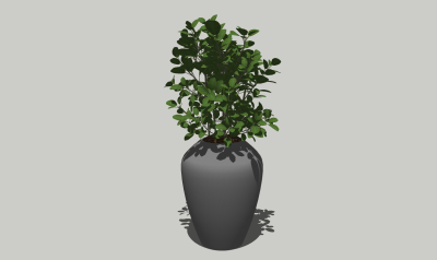 现代植物盆栽草图大师模型，绿宝sketchup模型