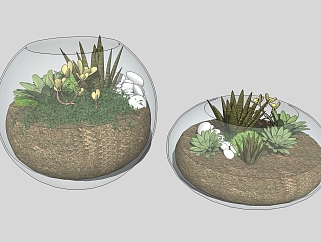 现代<em>植物</em>盆栽草图大师模型，多肉sketchup模型