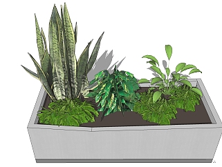 现代<em>植物盆栽</em>草图大师模型，龙舌兰sketchup模型