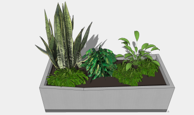 现代植物盆栽草图大师模型，龙舌兰sketchup模型