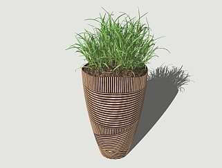 现代<em>植物</em>盆栽草图大师模型，建兰sketchup模型