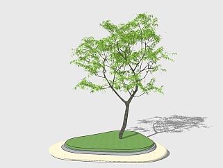 <em>现代景观树</em>草图大师模型，柠檬桉sketchup模型