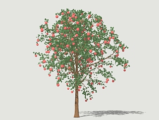 现代景观树草图大师模型，<em>苹果</em>树sketchup模型