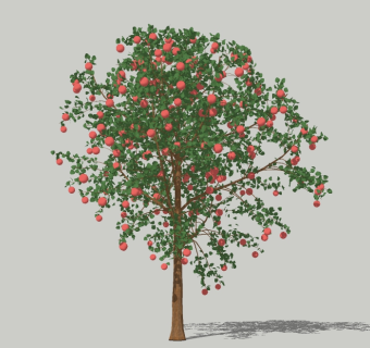 现代景观树草图大师模型，苹果树sketchup模型
