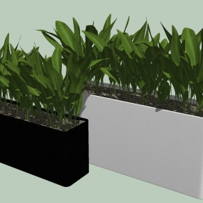 现代植物盆栽草图大师模型，鹤望兰sketchup模型