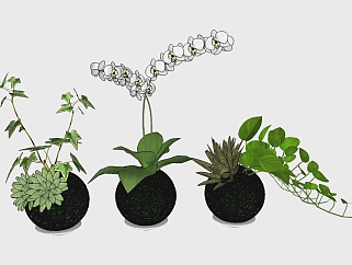 现代<em>植物盆栽</em>组合草图大师模型，盆栽组合sketchup模型